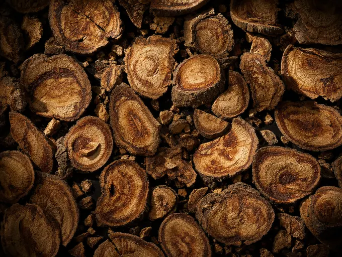 Butea superba root, sliced
