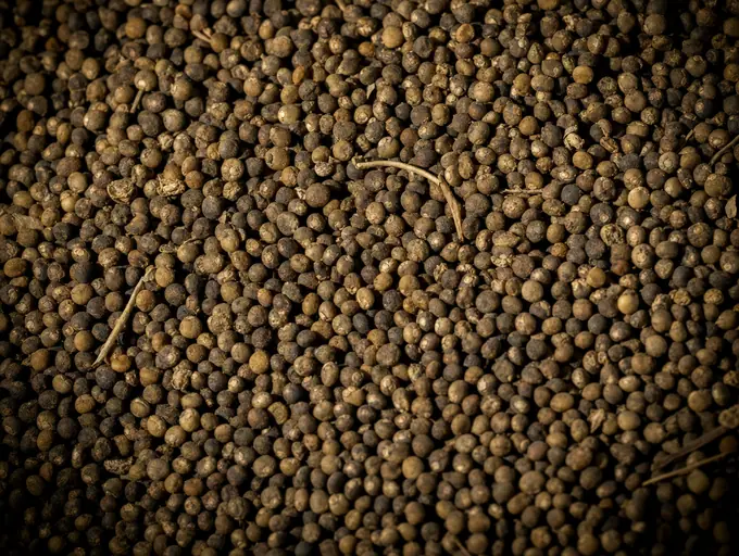 Cuscuta chinensis seed