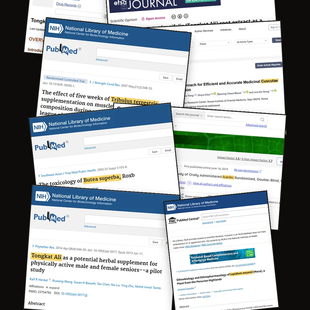 Published research on the six herbals in EROJAN: PubMed, EFSA Journal and peer-reviewed papers on Tongkat Ali, Tribulus terrestris, Butea superba, Cuscuta, Icariin and Lepidium meyenii