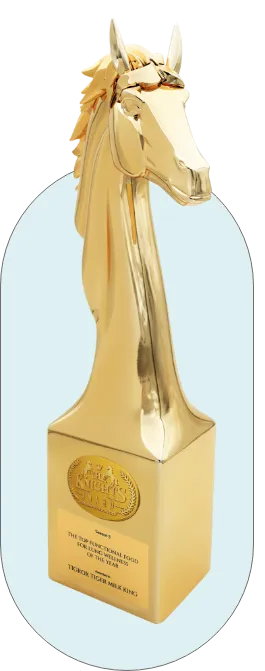 The Knights Award, Season 3